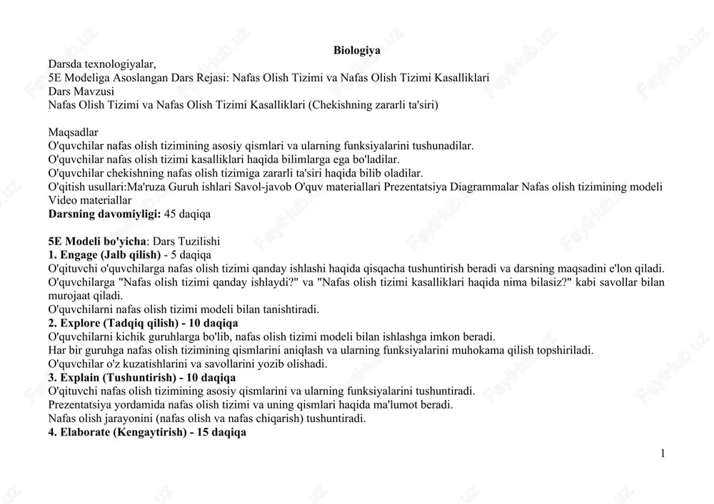 5e metodiga misollar — DOCX