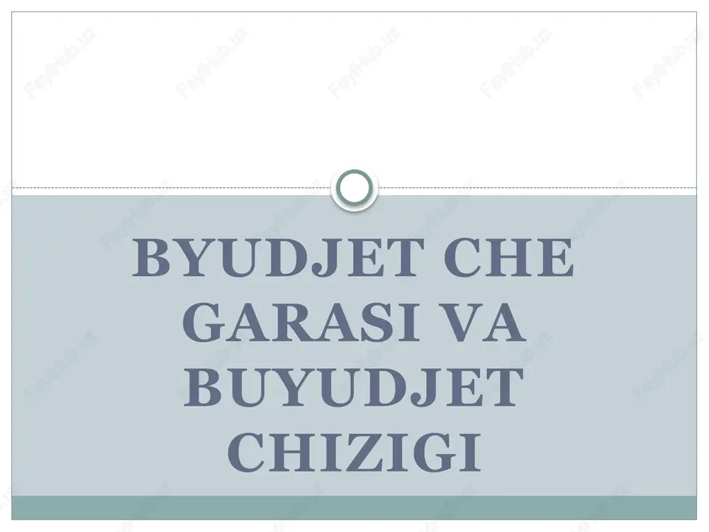 byudjet chegarasi va byudjet chizigi — PPTX