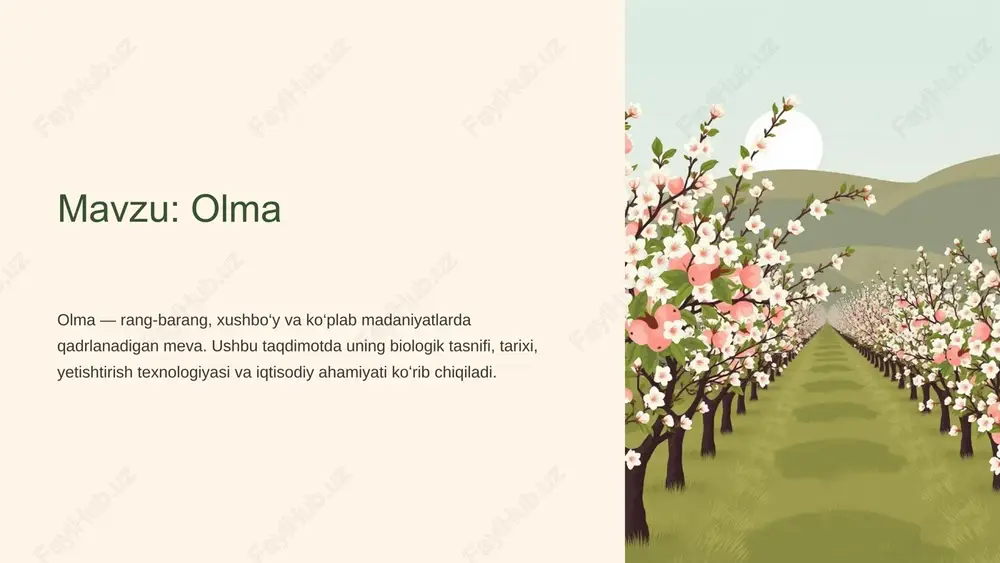 olma — PPTX