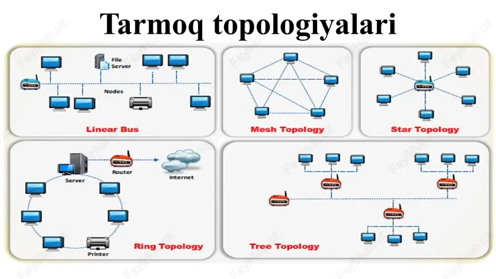 tarmoqtopologiyalari — PPTX