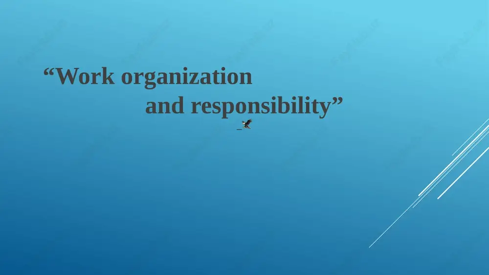 work organization and responsibility — PPTX