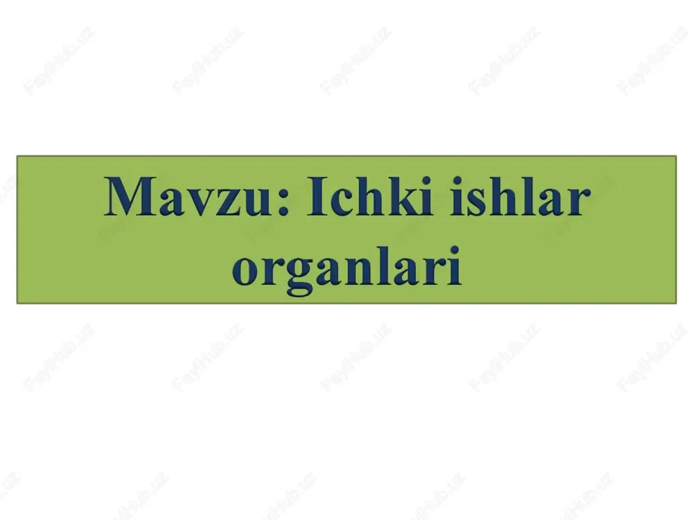 ichki ishlar organlari normativ-hujjatlar — PPT