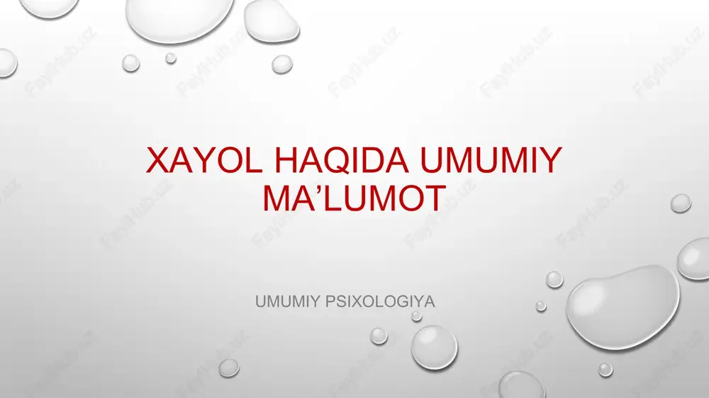 xayol — PPTX