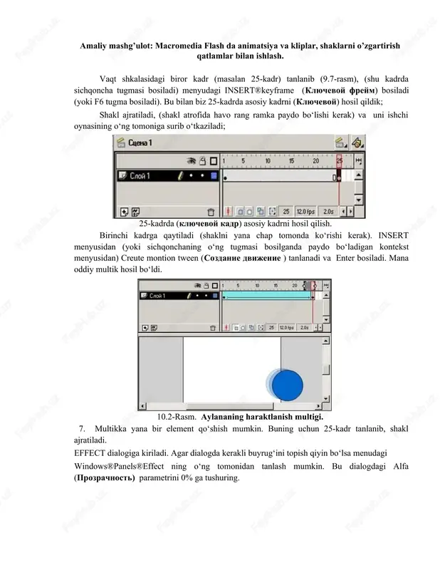 macromedia flash — DOCX