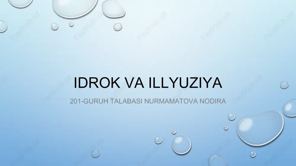 idrok va illyuziya — PPTX
