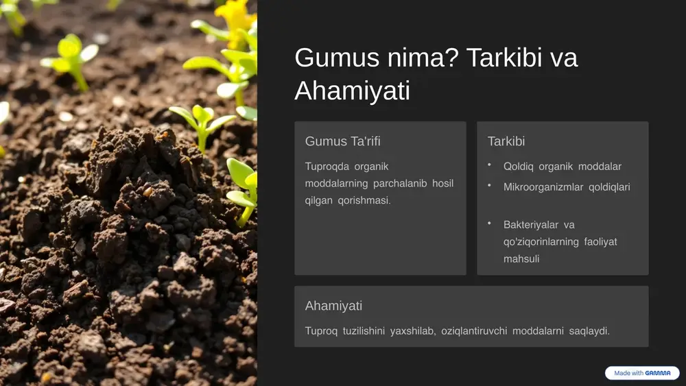 gumus nima? tarkibi va ahamiyati — PPTX