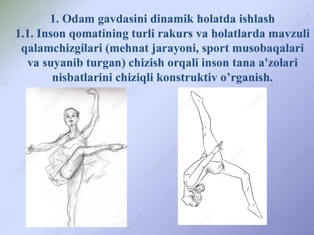 odam gavdasini dinamik holatda ishlash — PPTX