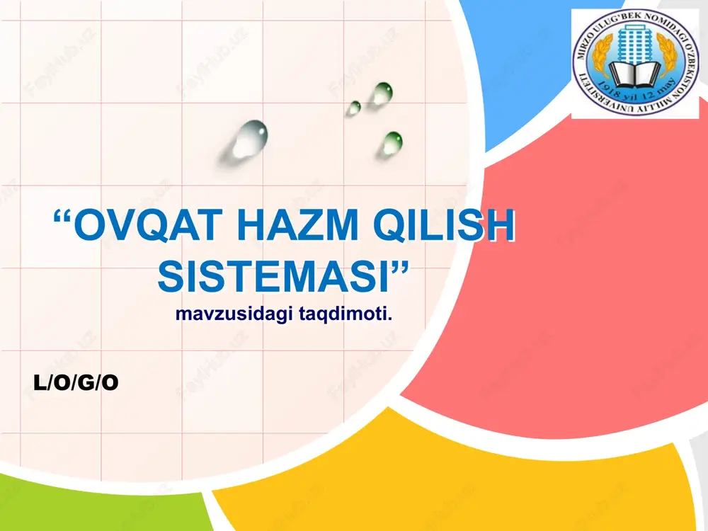 ovqat hazm qilish sistemasi — PPTX
