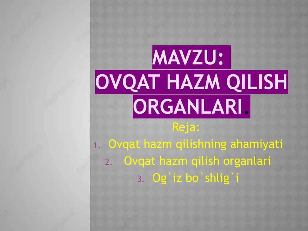 ovqat hazm qilish organlari — PPTX