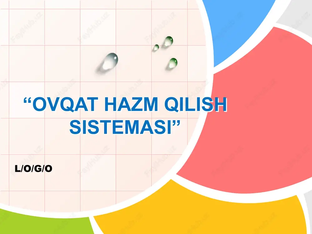 ovqat hazm qilish sistemasi — PPTX