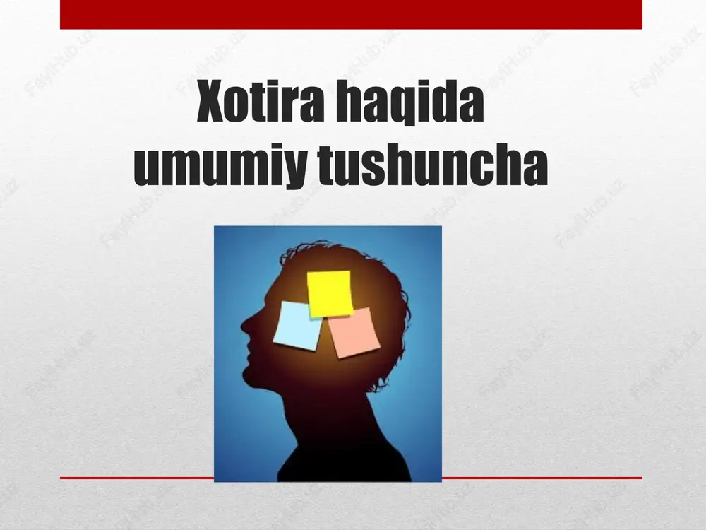 xotira haqida umumiy tushuncha — PPTX