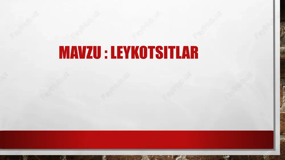leykotsitlar — PPTX