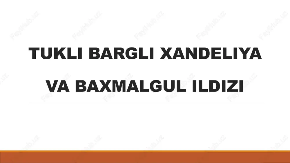 tukli barqli xandeliyava baxmalgul ildizi — PPTX