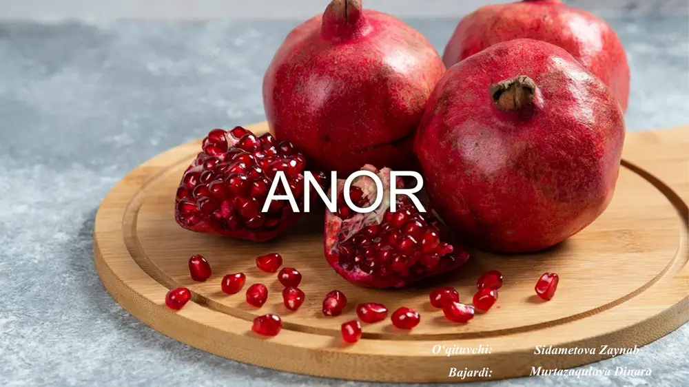 anor — PPTX