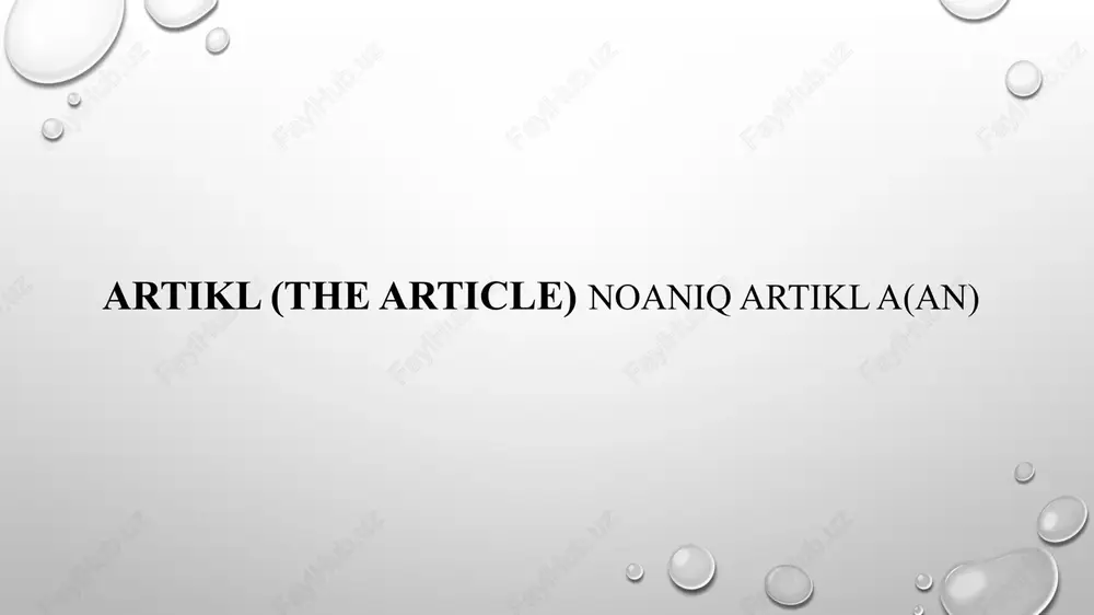 noaniq artikl a(an) — PPTX