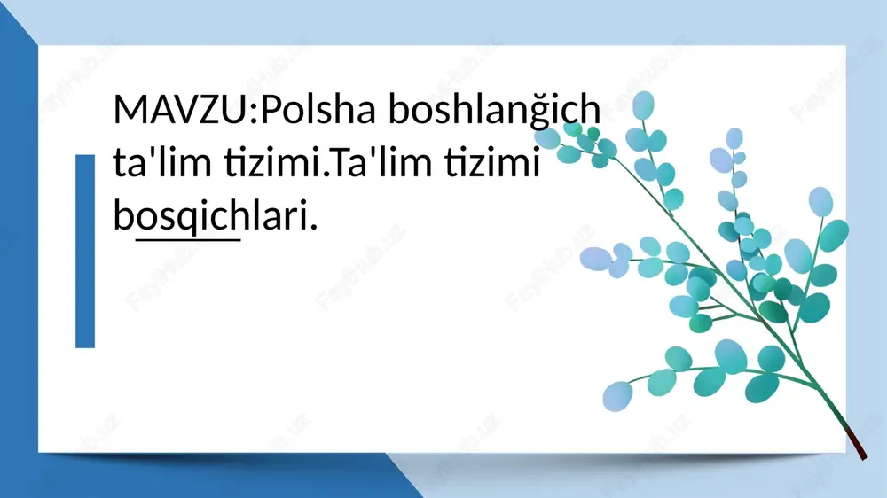 polsha ta’lim tizimi — PPTX