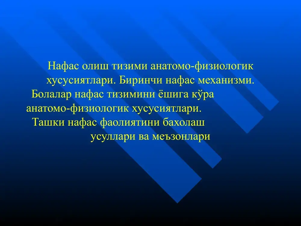 nafas olish tizimi anatomiyasi — PPTX