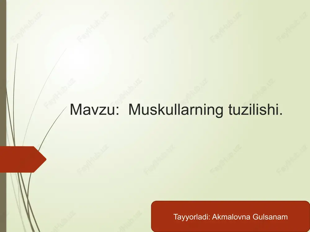 muskullarning tuzilishi — PPTX