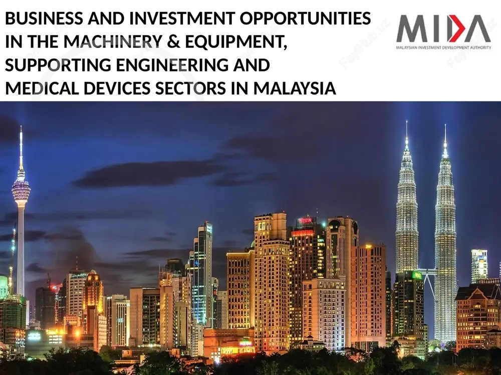 malaysia investment performance — PPTX