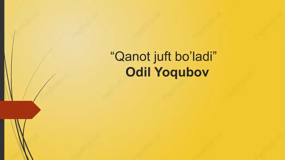 qanot juft bo’ladi — PPTX