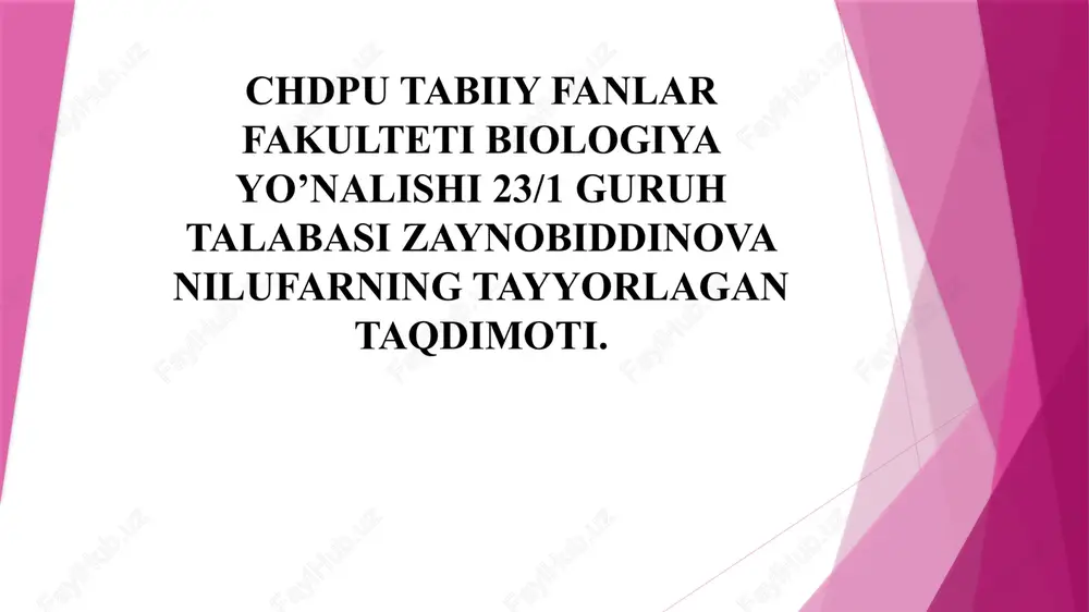poyalarning xilma xilligi — PPTX