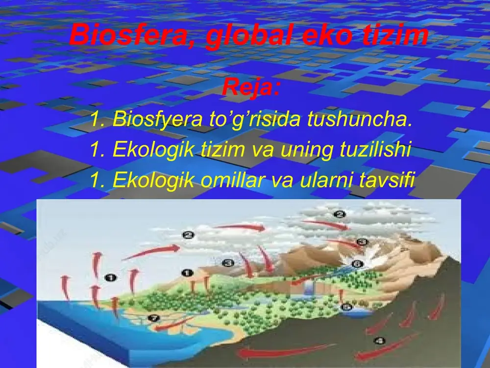 biosfera — PPTX