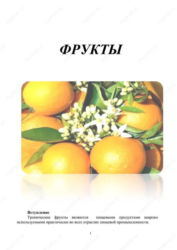 amazonskiy vinograd (lat.pourouma cecropiifolia) — DOC