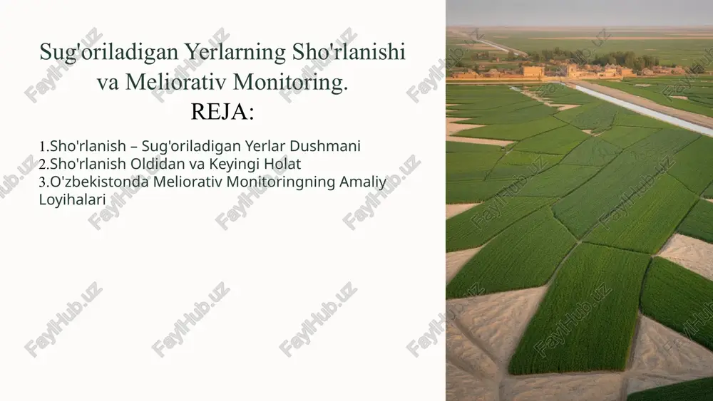 sug'oriladigan yerlarning sho'rlanishi va meliorativ monitoring — PPTX