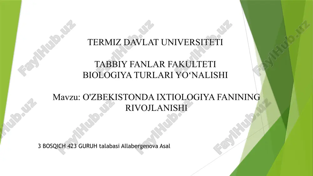 prezentatsiya microsoft powerpoint.pptx — PPTX