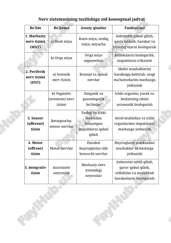 nerv sistemasining tuzilishiga oid konseptual jadval.docx — DOCX