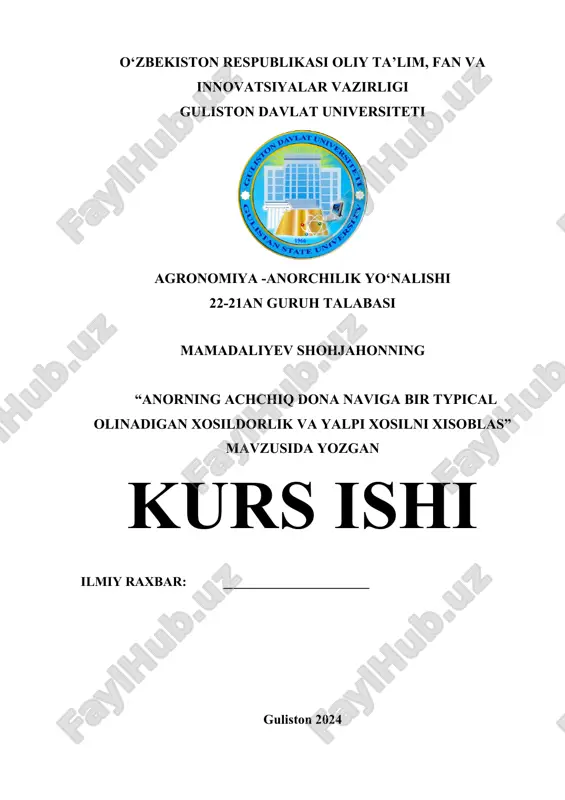mamadaliyev shohjahon_kurs ishi (2).docx — DOCX