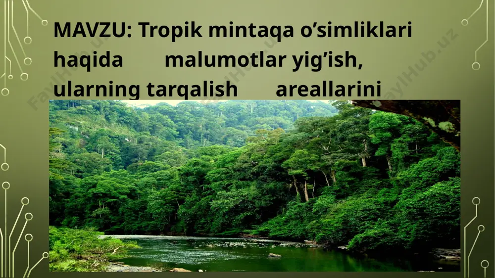 tropik mintaqa o’simliklarini kontur xaritaga tushirish — PPTX