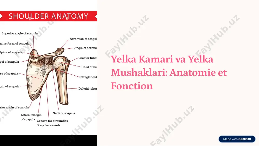 yelka kamari — PDF