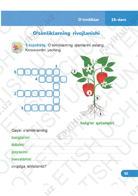 tabiiy fanlar daftar 3-sinf 15-24-darslar — PDF