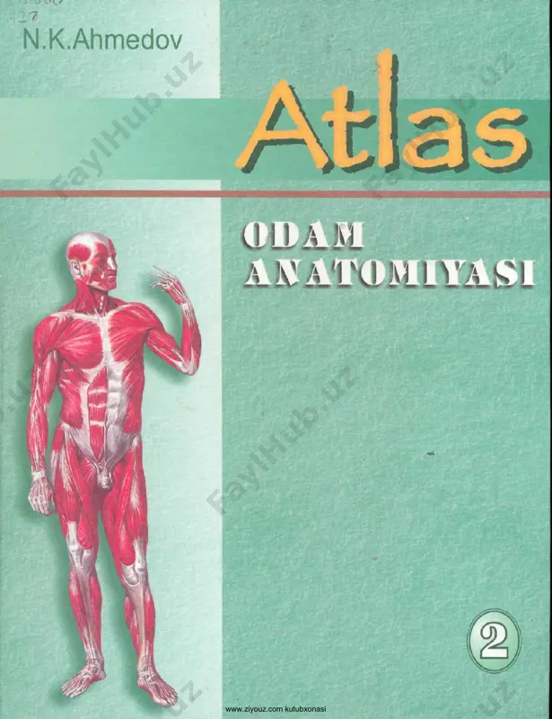 odam anatomiyasi. atlas. 2-jild (n.ahmedov) — PDF