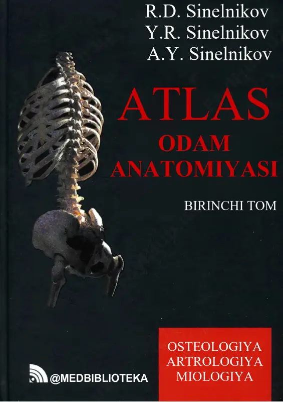 atlas odam anatomiyasi i-tom sinelnikov (o'zbekcha) — PDF