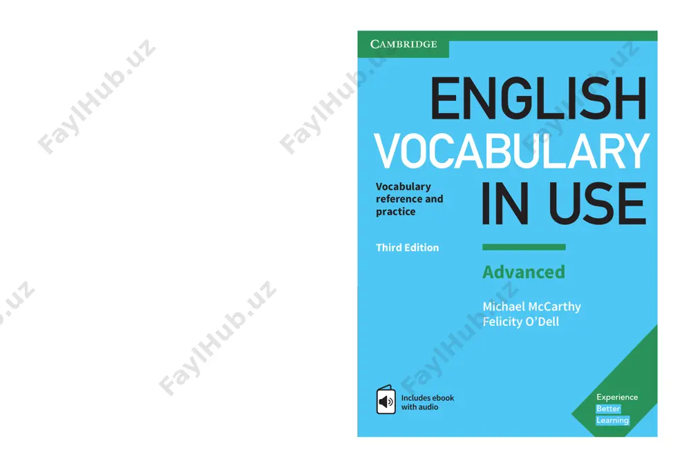english_vocabulary_in_use_advanced_by_michael_mccarthy_felicity — PDF