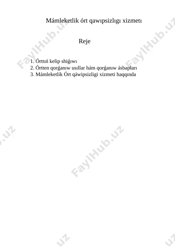 mámleketlik órt qawıpsizlıgı xizmetı — DOCX