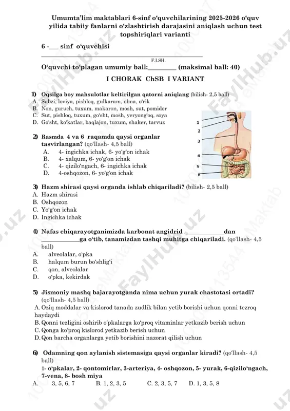 6-sinf tabiiy fan 1-chsb @summativ_formativ_baholash — PDF