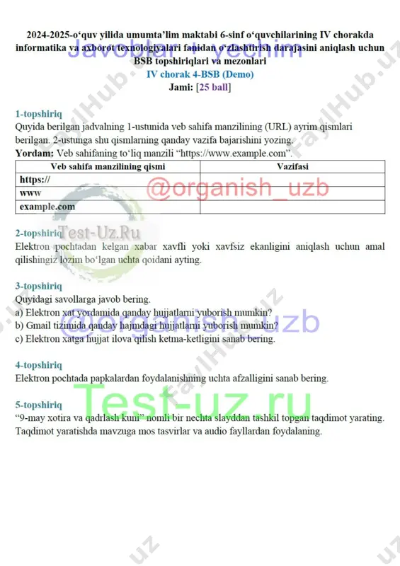 6 sinf informatika bsb-4 demo — DOCX