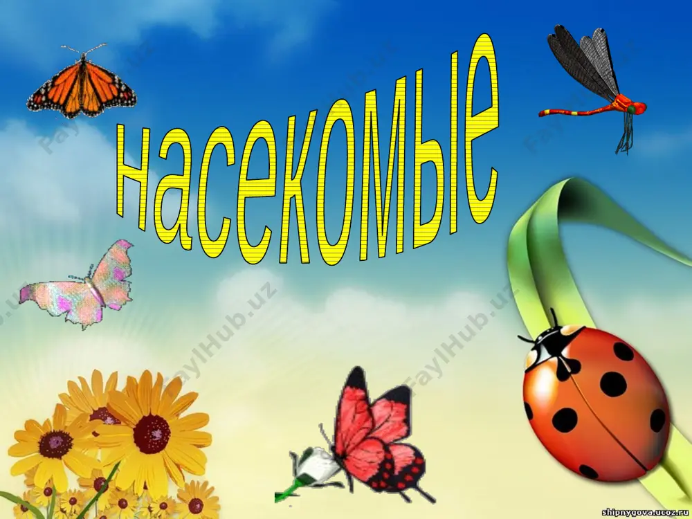 nasekomie_i_ix_vidi — PPTX