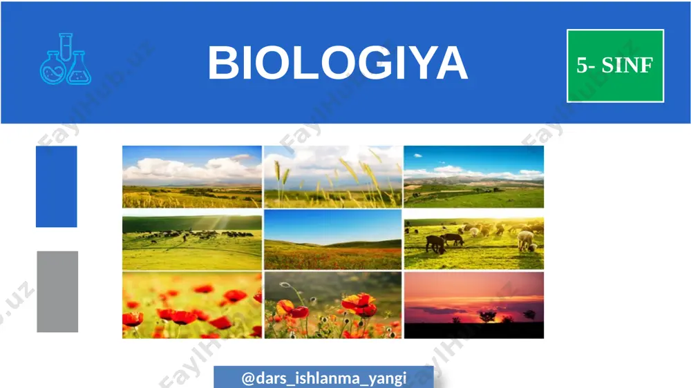 5-sinf botanika 04.biologiyaning o’rganish usullari+ — PPTX