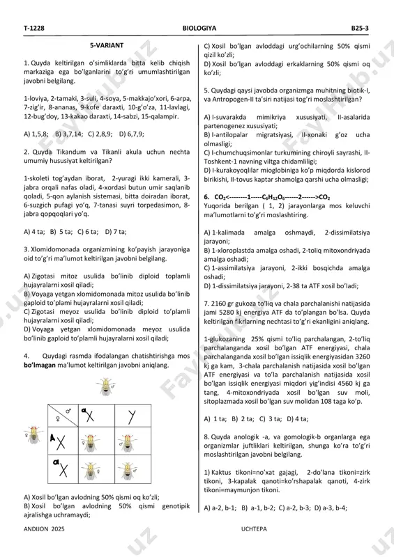 andijon dtm 2025 5-variant — PDF