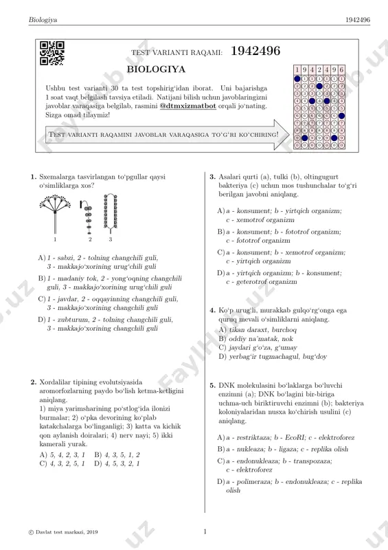 dtm-5 — PDF