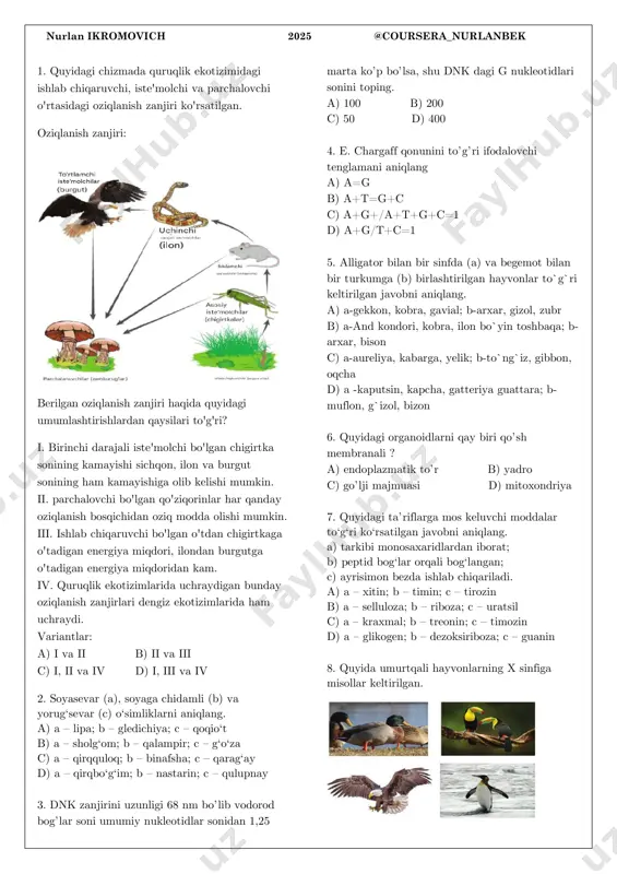 coursera (nurlan ikromovich). — PDF