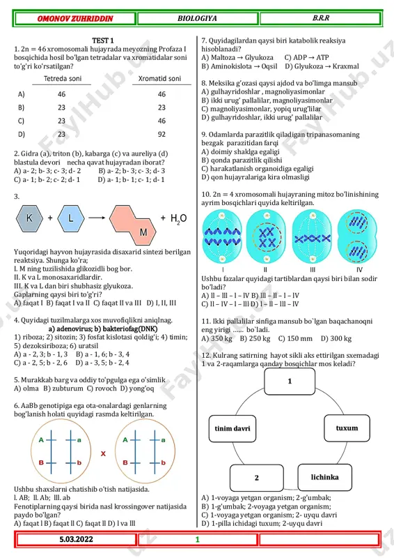 20 ta varyant (javobsiz) — PDF