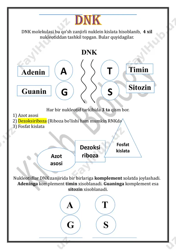dnk ajoyib qo'llanma.. — PDF