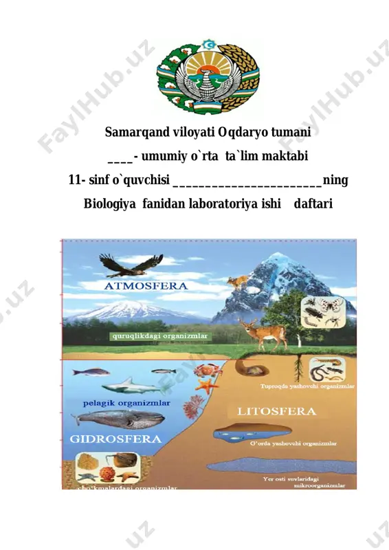 11_sinf_laborayiriya_ishlari — PDF