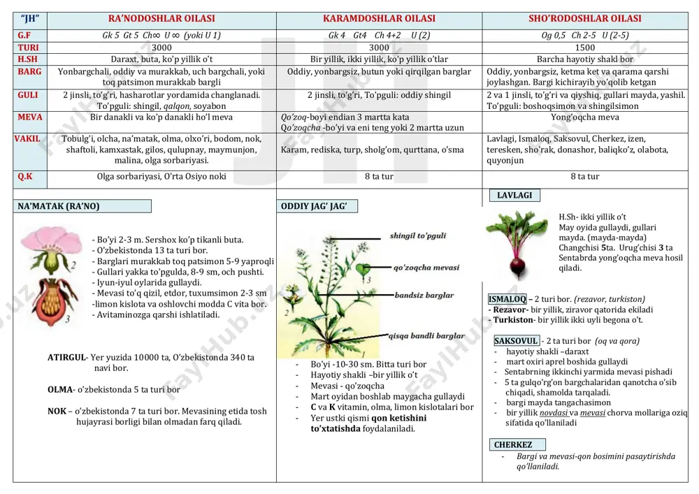oilalardan_supper_qo'llanma_by_javlonbek_haydarov_tayyorlov_kursi — PDF