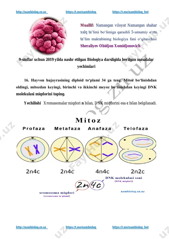 9-sinf masala 3-qism — PDF